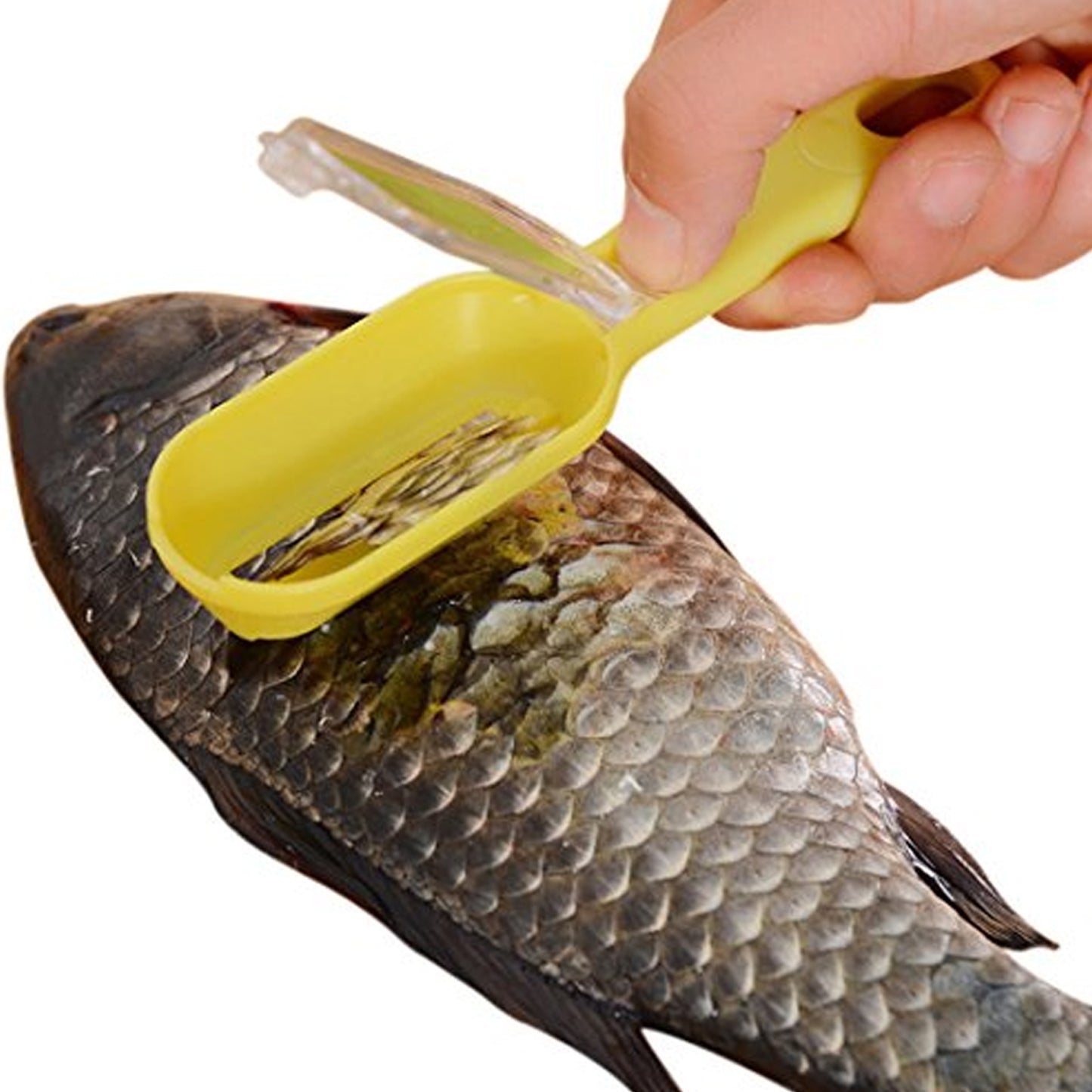 0112 Plastic Fish Scales Graters Scraper Fish Skin Brush Fish Cleaning Tool Scraping Scales Device With Cover Home Kitchen Cooking Tools 1 Pieces - Shopperscult